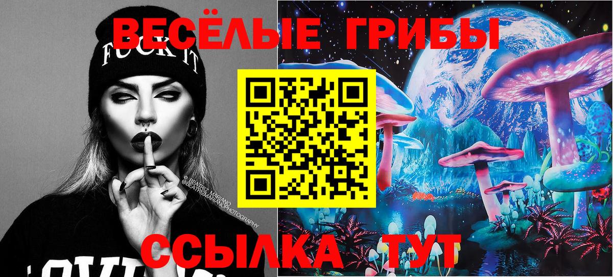 Псилоцибиновые грибы Psilocybine cubensis Новоуральск